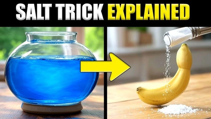 BLUE SALT TRICK